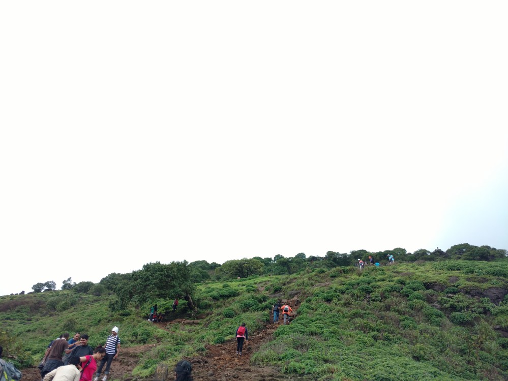 IMG_20160815_094122565