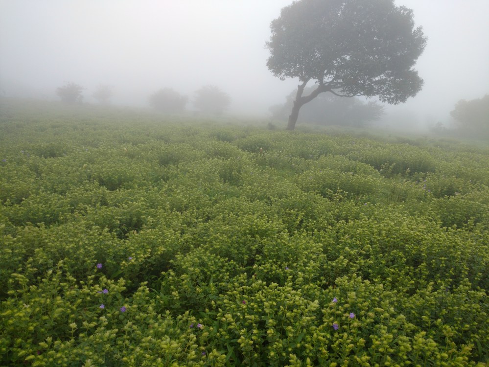 img_20160918_120354130