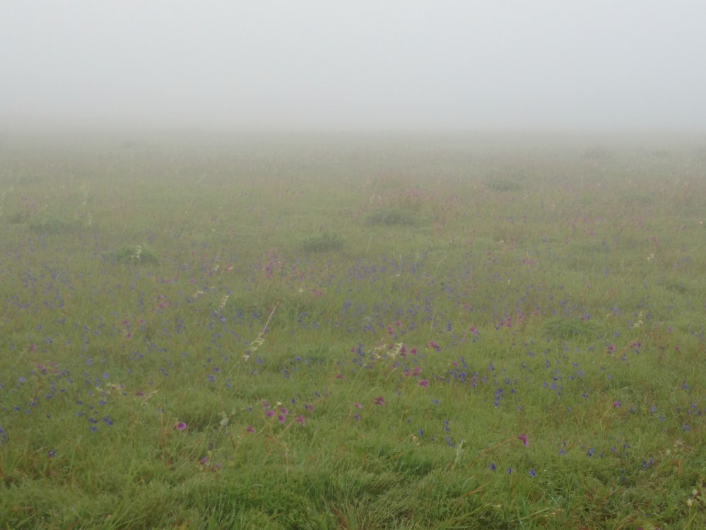 img_20160918_120552923