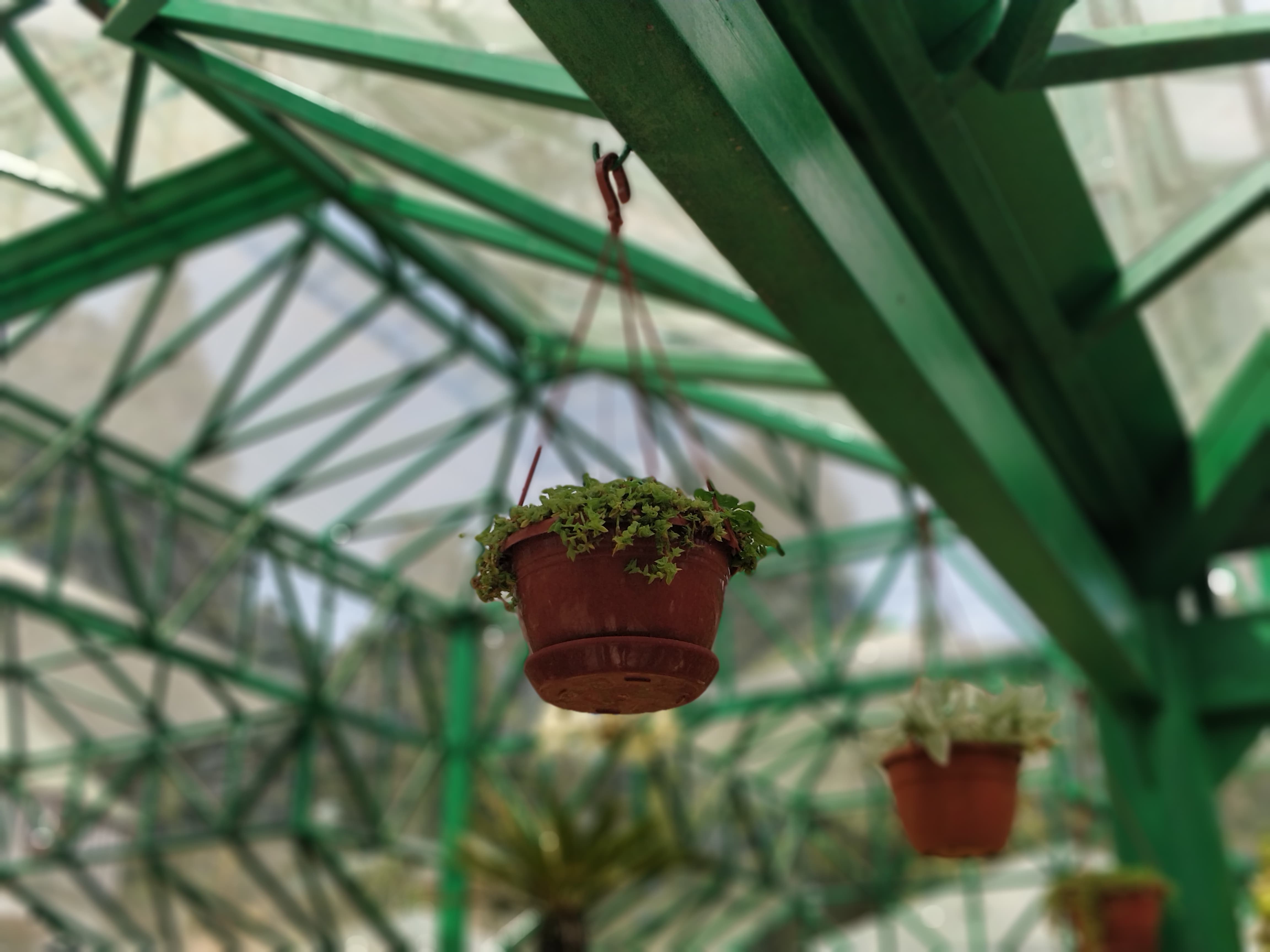 Pot hanged high in Glass House