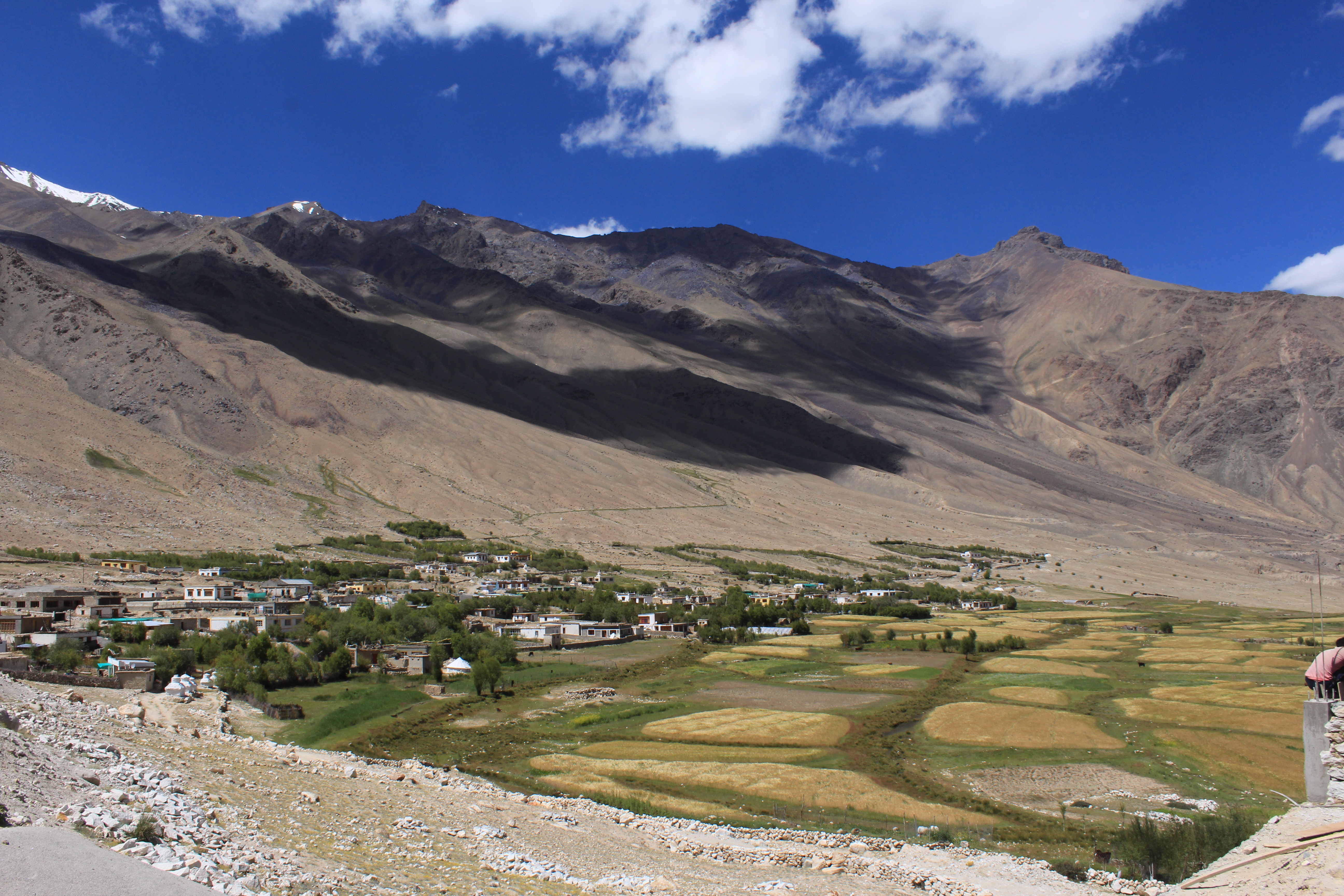 Khardung Village - Distant View