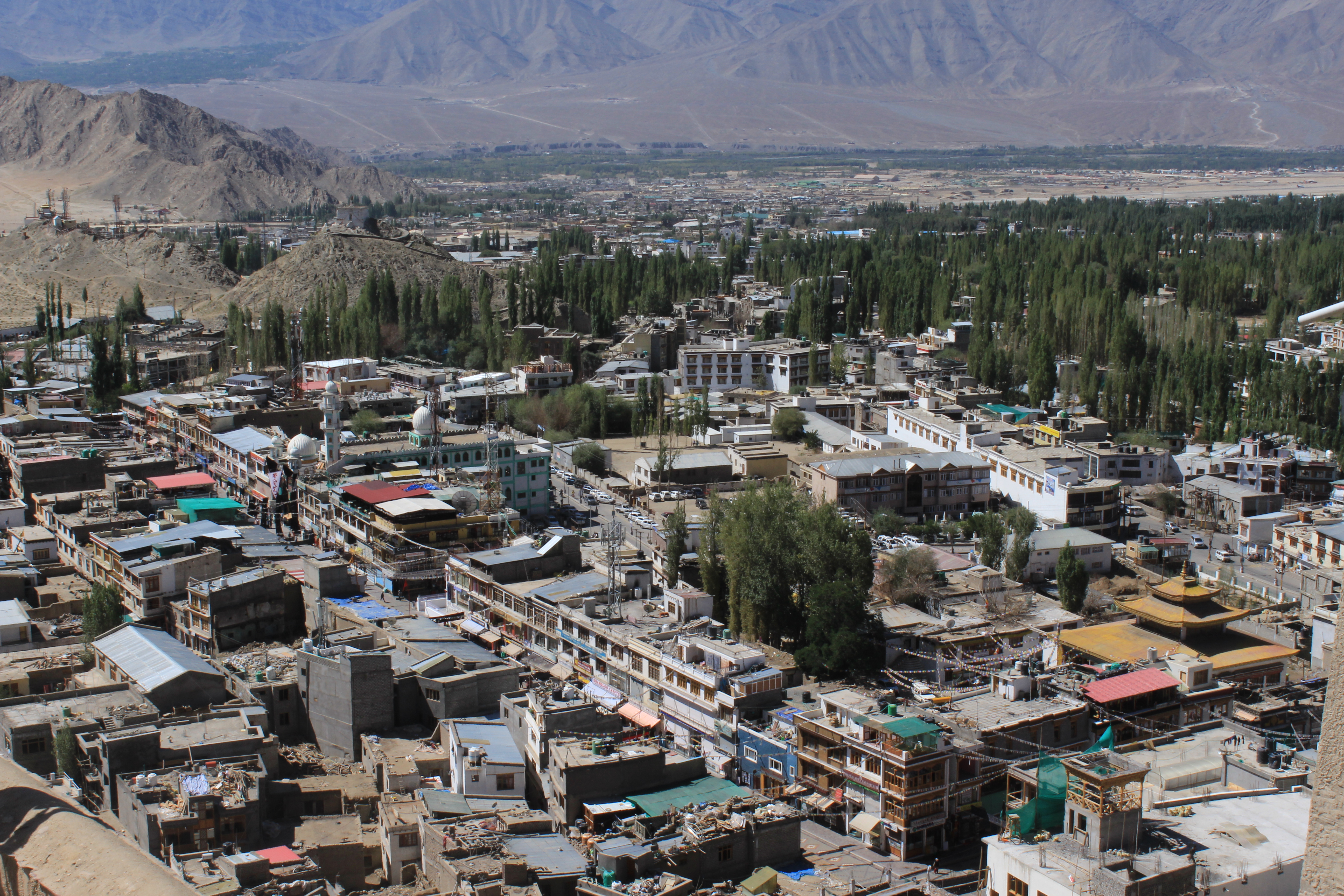 View of Leh Market from Leh Palace