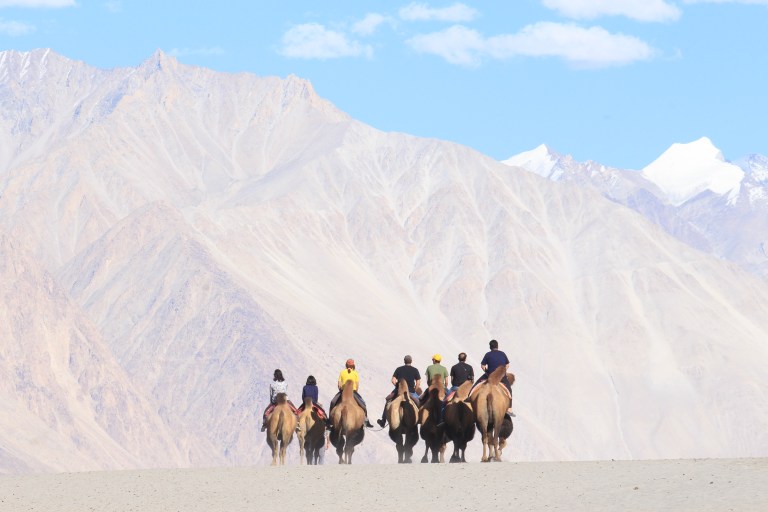 Bactrian camel rides - Famous in Hunder.